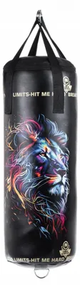 Obrázok produktu pre DBX BUSHIDO DBX Leon – tréningový boxovací vak pre deti, prázdny