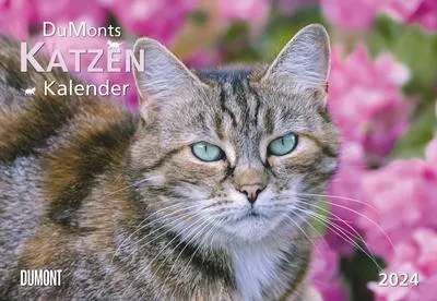 Produktbild von DUMONTS Katzenkalender 2024 - Broschürenkalender - Wandkalender - mit Schulferienterminen - Format 42 x 29 cm