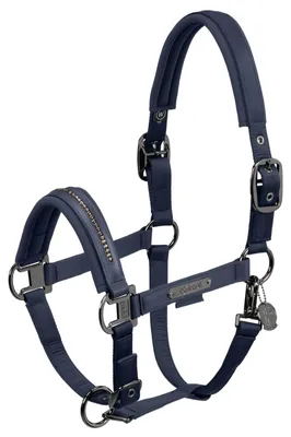 Produktbild von Eskadron Pferde Halfter Double Pin Glossy Crystal atlantic blue Platinum 2024, Größe:WE
