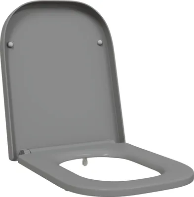 Produktbild von Möbel Toilettendeckel mit Schnellverschluss und sanftem Schließen Duroplast Grau - WC-Sitze 42002359