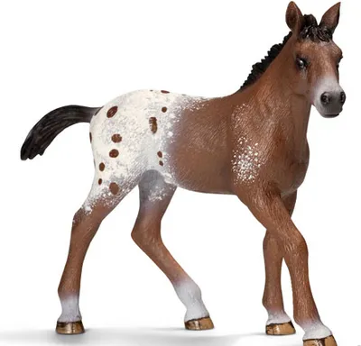Produktbild von Schleich Appaloosa Fohlen