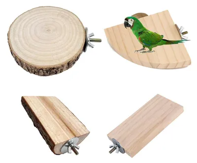 Produktbild von Holzplattform Set für Vögel und Hamster 4 Stück Kletterspielzeug