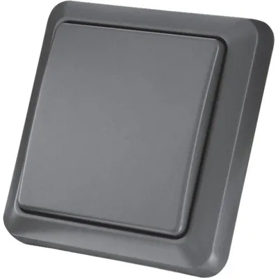 Image de KlikAanKlikUit AGST-8800, Interrupteur intelligent, 433,92 MHz, 70 m, Gris, IP44, Résistant à l'eau