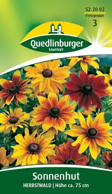 Produktbild von Sonnenhut, Herbstwald