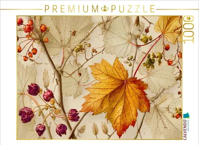 Produktbild von CALVENDO Puzzle Ahornblätter, Farben des Herbstes | 1000 Teile Lege-Größe 64x48cm Foto-Puzzle für glückliche Stunden