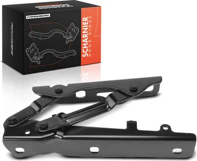 Immagine prodotto di Frankberg 1x Cerniera cofano lato guida per Tesla Model S 5YJS anno dal 2012