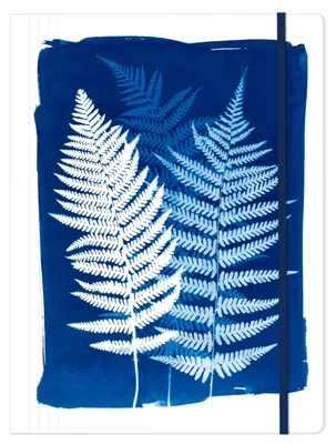 Produktbild von Clairefontaine 4x Cyanotypie, Sammelmappe mit Gummizugverschluss 24x32cm 83512C