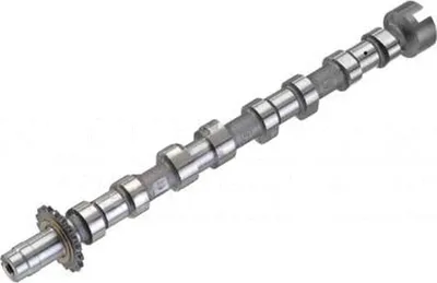 Image de Arbre A Cames D'echappement Citroen Jumpy 2.0Hdi 02-