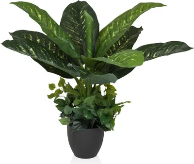 Obrázek produktu pro hjh OFFICE Umělá rostlina DIEFFENBACHIA Umělá rostlina Dieffenbachia Výška 80,0 cm Dekorace