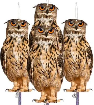 Image de Protection anti-oiseaux en 4 pièces, d'une épaisseur de 3 mm, avec une bande réfléchissante, idéale pour les balcons et les jardins
