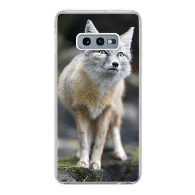 Produktbild von MuchoWow® Handyhülle Schutzhülle Hülle für Samsung Galaxy S10e Fuchs - Makro - Baum Silikon Softcase Handy Hülle - Handy