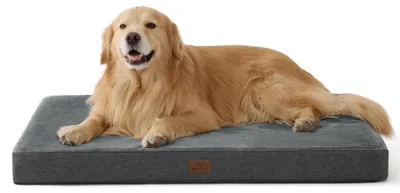 Image de Matelas orthopédique pour chiens, fabriqué en mousse à mémoire de forme