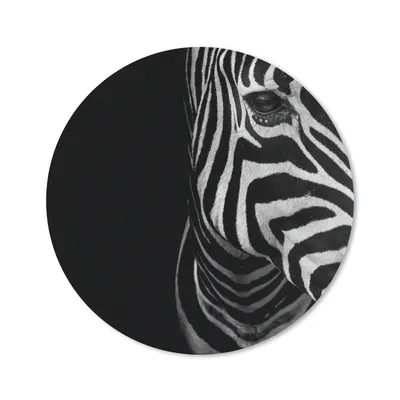 Produktbild von MuchoWow® Mauspad Mousepad Tiere - Zebra - Schwarz - Weiß 50x50 cm - Mousepads - Maus Mat - Pad - Mausunterlage - Vinyl