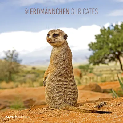 Produktbild von Erdmännchen 2022 - Broschürenkalender 30x30 cm (30x60 geöffnet) - Kalender mit Platz für Notizen - Suricates - Bildkalender - Wandplaner - Alpha Edition