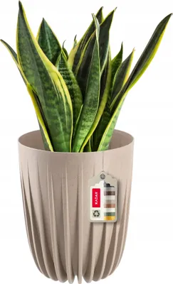 Image de KADAX Pot de fleurs en plastique "Costa", avec matériaux naturels, pots de plantes, avec insert, 19 cm, Beige
