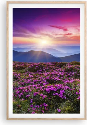 Produktbild von Gerahmtes Poster - Rahmen in heller Eiche - Wiese Berg Himmel Landschaft - 61x91,5 cm - Wand Bild - Wanddeko - Wandbilder - Wandposter - Bilderrahmen - Bilder - Kunstdruck - Wandbild - P2NPA61x91-2719