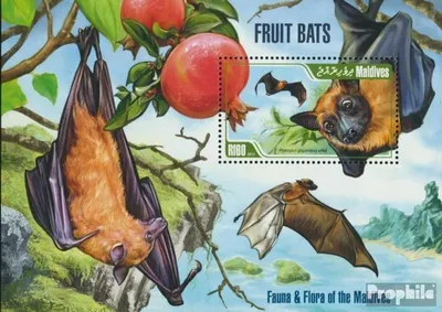 Produktbild von Briefmarken Malediven 2013 Mi Block 653 (kompl. Ausg.) postfrisch Früchte Fledermäuse
