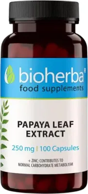 Produktbild von Papayablatt Extrakt 250 mg 100 Kapseln PZN 19642675