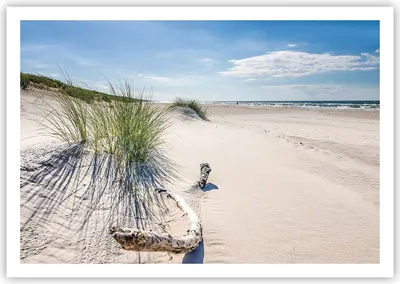 Produktbild von Poster - Poster ohne Rahmen - Mrzezyno Strand Meer - 100x70 cm - Wand Bild - Wanddeko - Wandbilder - Kunstposter - Wandposter - Bilder - Kunstdruck - Wanddekoration - Wandbild - P2XAA100x70-4281