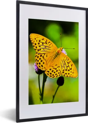 Produktbild von MuchoWow® Gerahmtes Poster Schmetterling - Tiger - Blume 40x60 cm - Poster mit Schwarzem Bilderrahmen Wandposter Rahmen Foto Bilder - Poster in Rahmen