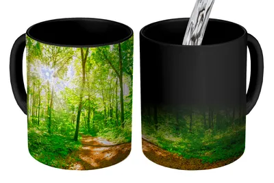 Obrázek produktu pro MuchoWow® Kouzelný pohár Les - Slunce - Strom 350 ml Barva měnící se pohár Dárkový nápad - foto hrnek