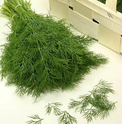 Produktbild von Kôpor Goldkrone Tetra-Dill 5 g osiva na 10 m²