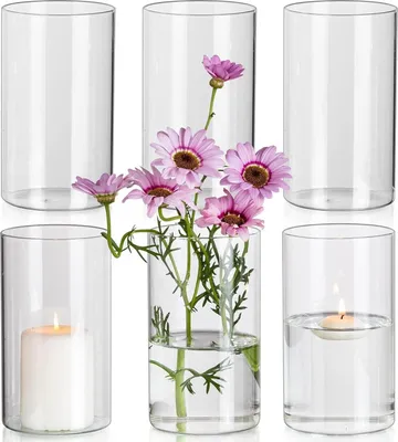 Image de lot de 6 vases en verre transparent 15x8,5cm cylindre décoration de mariage tulipes bougeoir