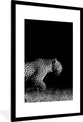 Produktbild von MuchoWow® Gerahmtes Poster Wildtiere - Leopard - Gras - Schwarz - Weiß 60x90 cm - Poster mit Schwarzem Bilderrahmen Wandposter Rahmen Foto Bilder - Dekoration - Wandposter Wohnzimmer - Hochwertig