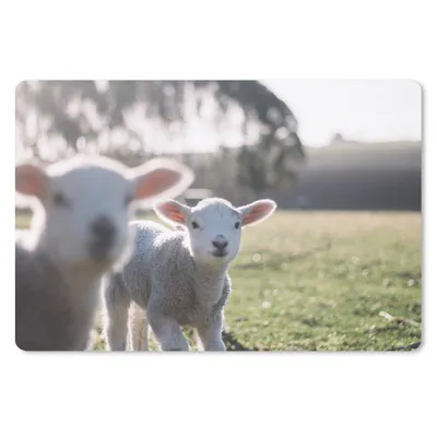 Produktbild von MuchoWow® Schreibtischunterlage Tiere - Schafe - Lamm 60x40 cm - XXL Mauspad - Großes Mauspad