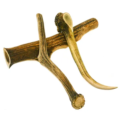 Image de RF-Deer 1kg 30-40cm 3-5 bois de cerf naturel, Décoration unique, parfait jouet pour chien, jouet à mâcher pour chien, laaux enchères comprend