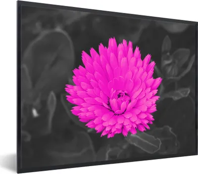 Produktbild von MuchoWow® Gerahmtes Poster Blumen - Aquarell - Rosa 80x60 cm - Poster mit Schwarzem Bilderrahmen Wandposter Rahmen Foto Bilder - Schwarzem - Mit Gestell