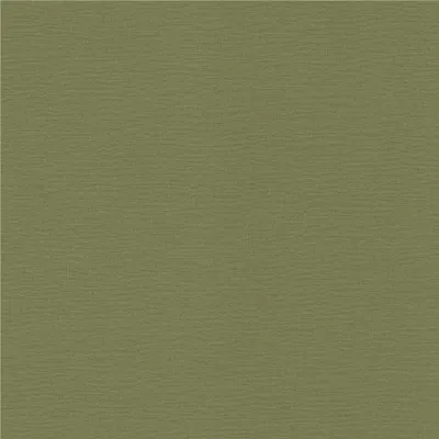 Obrázok produktu pre Netkaná tapeta 452068 Tapeta Uni Jednofarebná 53 x 1005 cm Rasch Country Charme Zelená