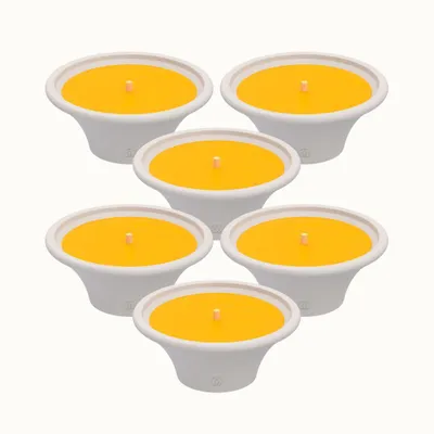 Produktbild von Spaas Citronella Outdoor-Kerze im Terrakotta-Schale - Gelb - ca. 9Std - 6 Kerzen