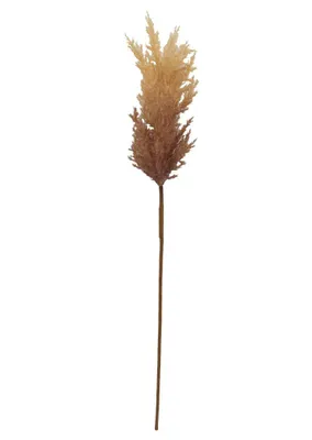 Produktbild von 2474U Künstliches Schilfrohr Braun 90 cm, Schilfgras Kunstpflanze, Boho- Deko