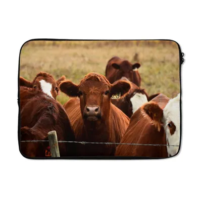 Produktbild von MuchoWow® Laptop Hülle 13 Zoll Kuh - Tiere - Zaun - Braun Laptoptasche - Laptophülle - Sleeve - Rundumschutz
