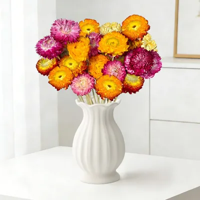 20 getrocknete bunte Chrysanthemen mit Stielen, 35-44 cm