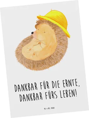 Produktbild von Mr. & Mrs. Panda Postkarte Erntedankfest Dankbarkeit - Weiß - Geschenk, Grußkarte, Feiertag, Feiertage, Freunde, Ansichtskarten, Geschenke, Postkarten, Feiertagsfeiern