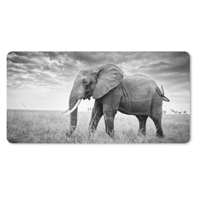 Produktbild von MuchoWow® Mauspad Mousepad Elefant - Gras - Tiere - Schwarz und weiß 60x30 cm - Mousepads - Maus Mat - Pad - Mausunterlage - Nachhaltig