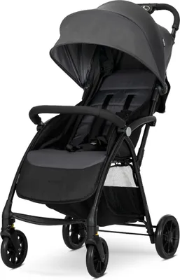 Produktbild von Lorelli FRESH Sportbuggy bis 22 kg – ultraleicht 5,9 kg, Liegeposition, kompakt faltbar, schwenkbare Räder, großer Korb