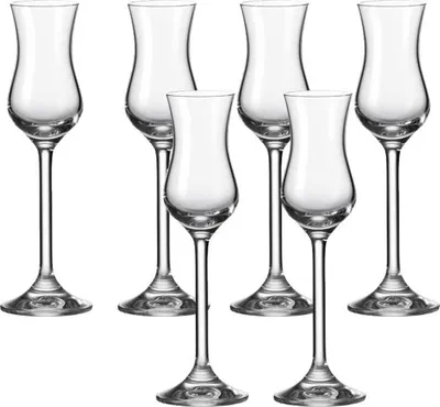 Produktbild von Leonardo Daily Grappa-Glas 6er Set, Schnaps-Glas mit Stiel, spülmaschinenfeste Digestif-Gläser, Höhe 20 cm, 10 cl, 063319