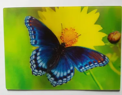 Produktbild von 3 D Ansichtskarte blauer Schmetterling, Postkarte Wackelkarte Hologrammkarte, Falter