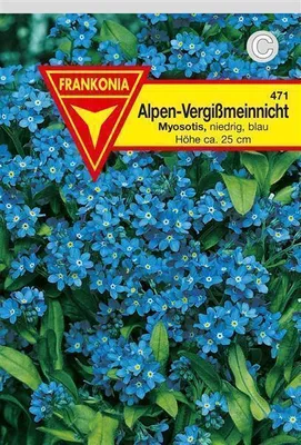 Produktbild von Vergissmeinnicht | Vergissmeinnichtsamen von Frankonia Samen, Farbe:blau