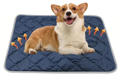 Immagine prodotto di Coperta riscaldante per animali domestici, 60x90 cm, blu, tappetino termico lavabile per cani e gatti