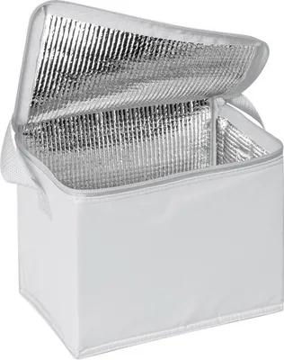Produktbild von Kühltasche für 6 Dosen à 0,5l / Farbe: weiß