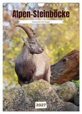 Produktbild von Alpen-Steinböcke, imposante Hornträger (Wandkalender 2027 DIN A4 hoch), CALVENDO Monatskalender