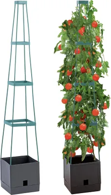 Produktbild von Pflanzentopf mit Tomatenstütze, Kletterpflanze, 150 cm