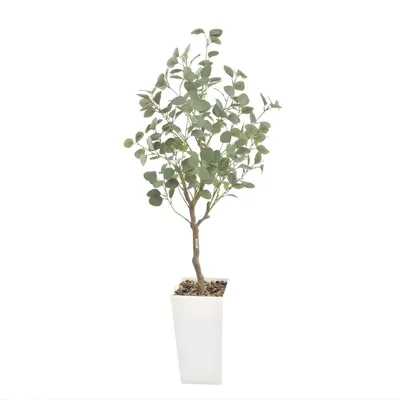 Produktbild von Künstlicher Eukalyptusbaum 150 cm mit weißem Topf - Realistische Kunstpflanze für Innen & Außen - Pflegefrei