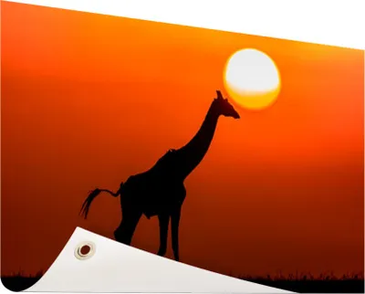 Produktbild von Gartenposter - 60x40 cm - Giraffe bei Sonnenuntergang  - Modernes Wandbilder - Wilde Tierposter