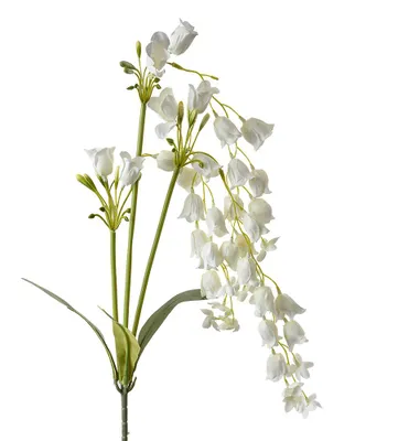 Image de Clayre & Eef Fleur artificielle 80 cm blanc plastique