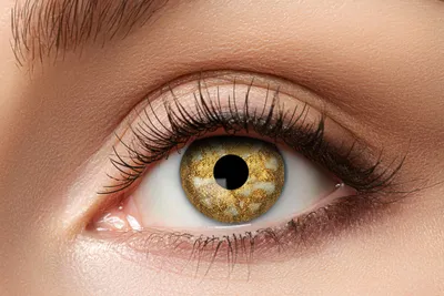 Produktbild von Zoelibat Eyecatcher Gold Celtic 12 Monatslinsen goldene Kontaktlinsen Halloween Cosplay